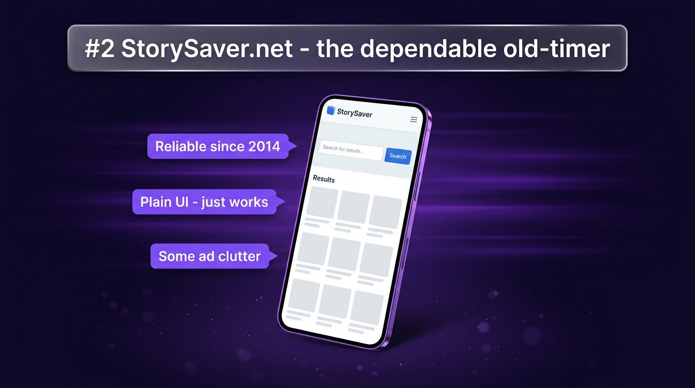 StorySaver.net interface showing classic blue-and-white layout